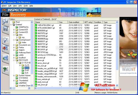 Ekrano kopija PC Inspector File Recovery Windows 7