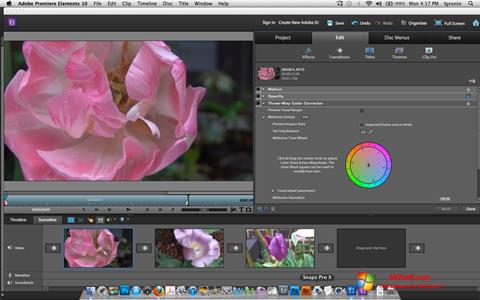 Ekrano kopija Adobe Premiere Elements Windows 7