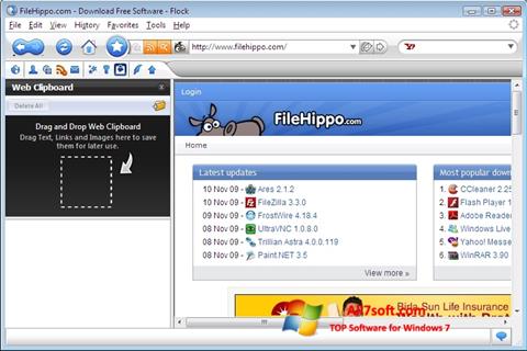 Ekrano kopija Flock Windows 7