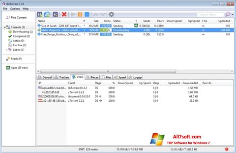 Ekrano kopija BitTorrent Windows 7