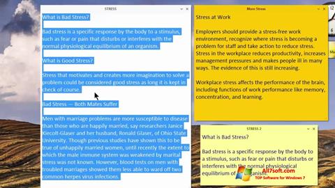Ekrano kopija Simple Sticky Notes Windows 7