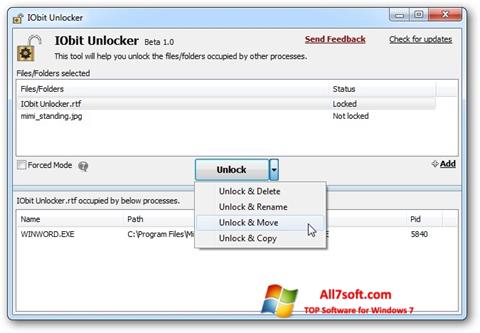 Ekrano kopija IObit Unlocker Windows 7