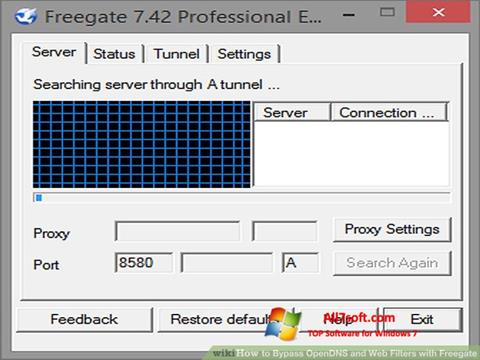 Ekrano kopija Freegate Windows 7