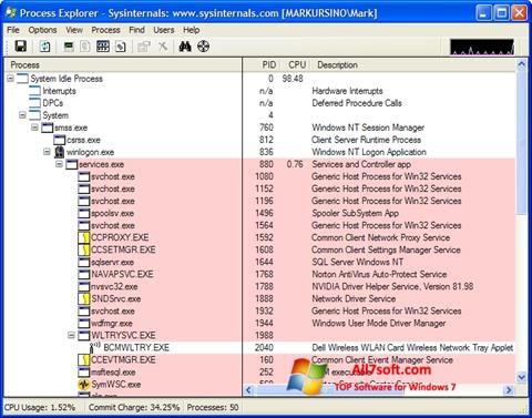 Ekrano kopija Process Explorer Windows 7